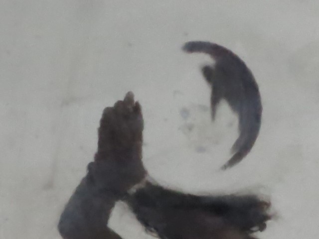 abstract series "no 005" by Raphael Egel