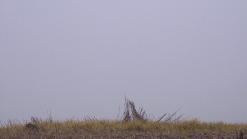 Horizon series "024" by Raphael Egel