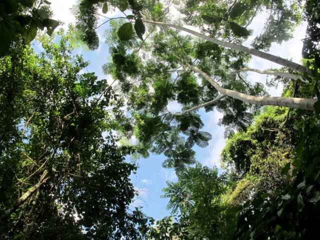 nature series "001" by Raphael Egel